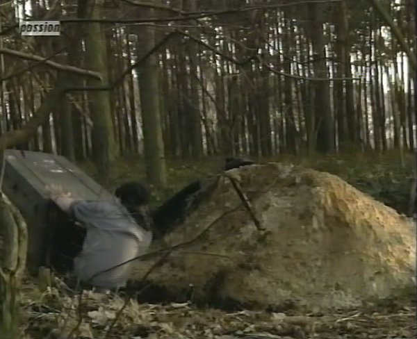 Datei:Folge 216 Wald.jpg